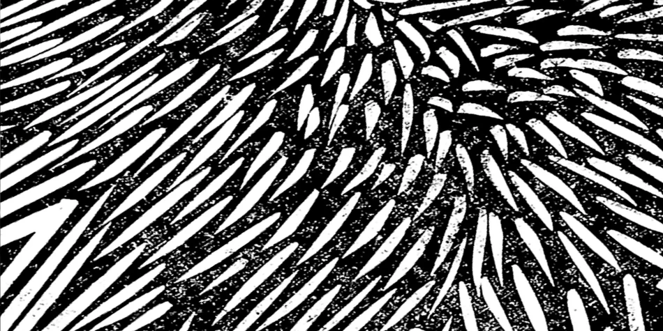 Visuel pour l'événement: dessin abstrait