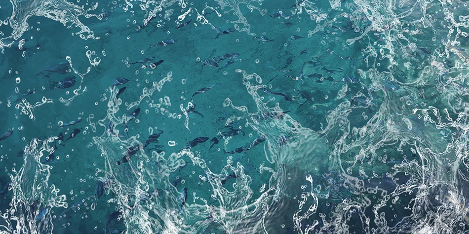 Photo of the surface of the ocean