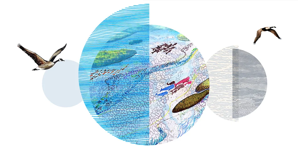 Image with grey and blue circles with drawings of birds and fishes