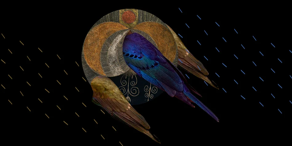 visuel du concert accès avis