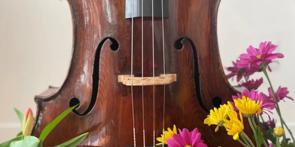 jardin musical