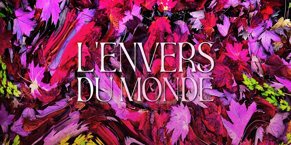 Marie-Pierre Brasset | L’envers du Monde 