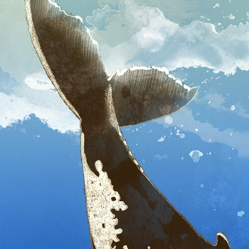 Illustration of the tail of a whale