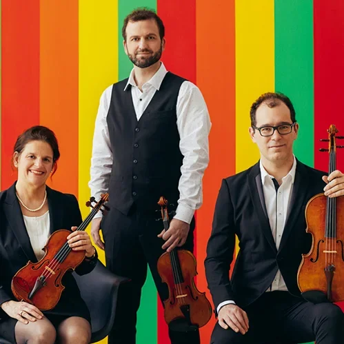 Photo du Quatuor Molinari