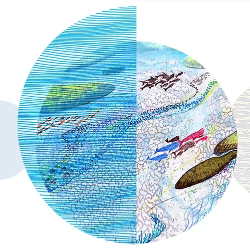 Image with grey and blue circles with drawings of birds and fishes