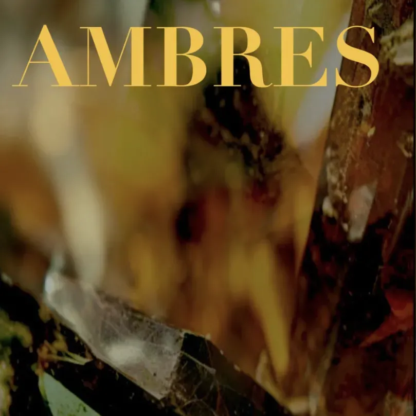 ambres