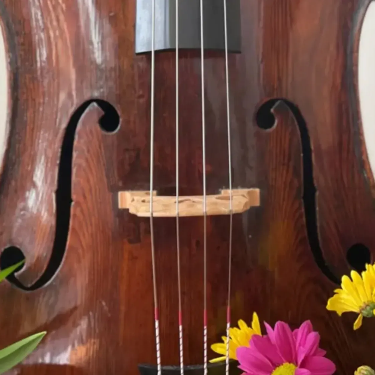 jardin musical