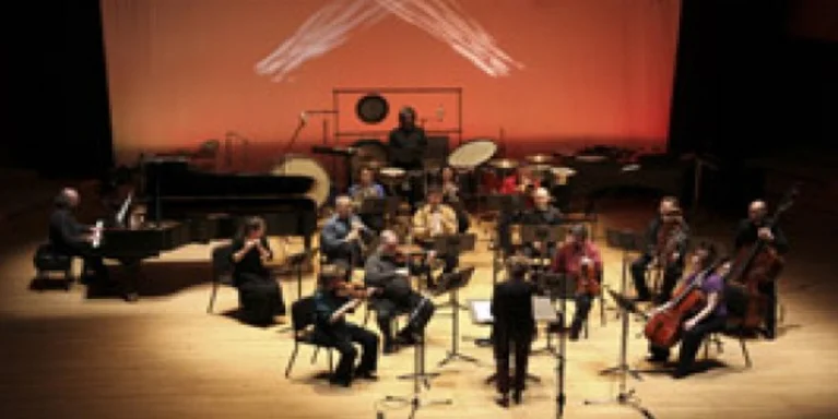 Photo of the NEM in concert