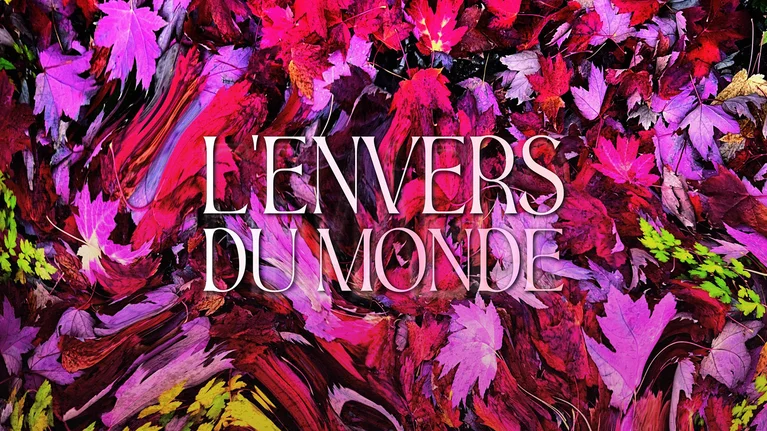 Marie-Pierre Brasset | L’envers du Monde 