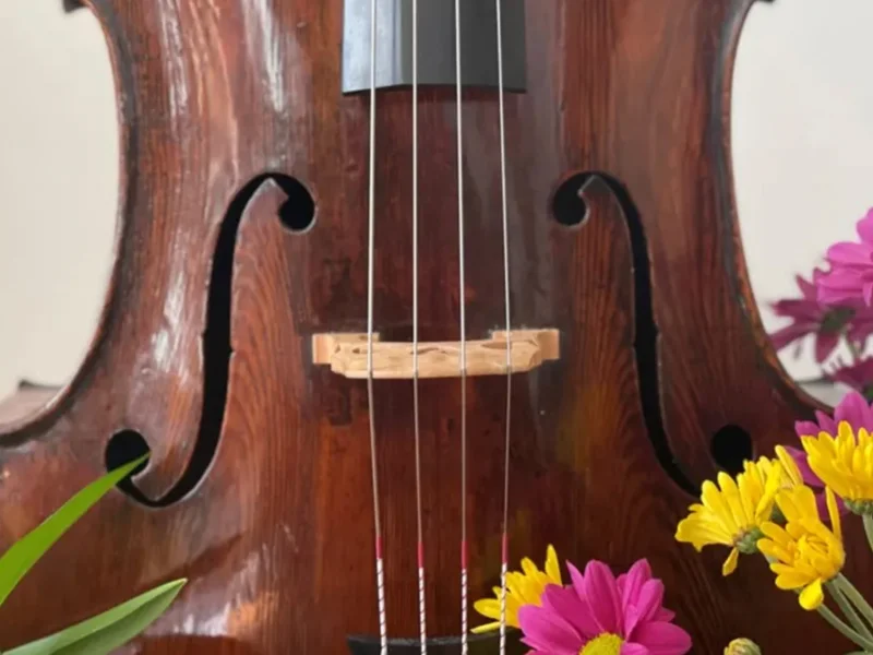 jardin musical