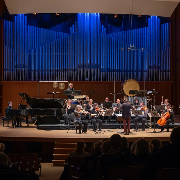 Photo of the NEM during a concert